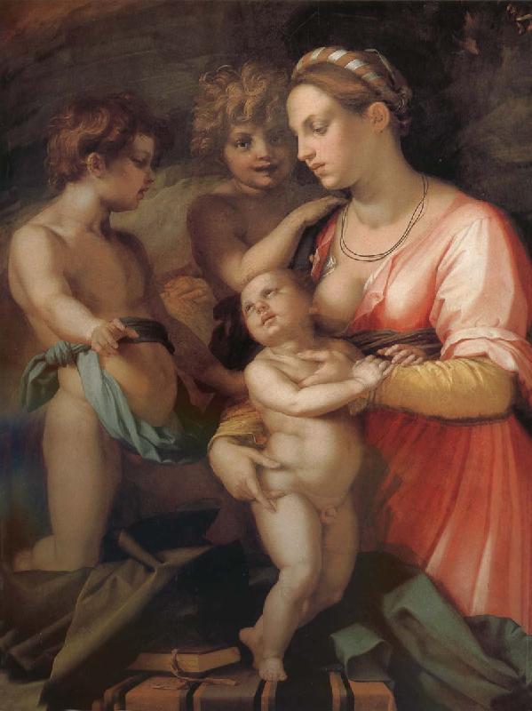 Andrea del Sarto Kindly oil painting image